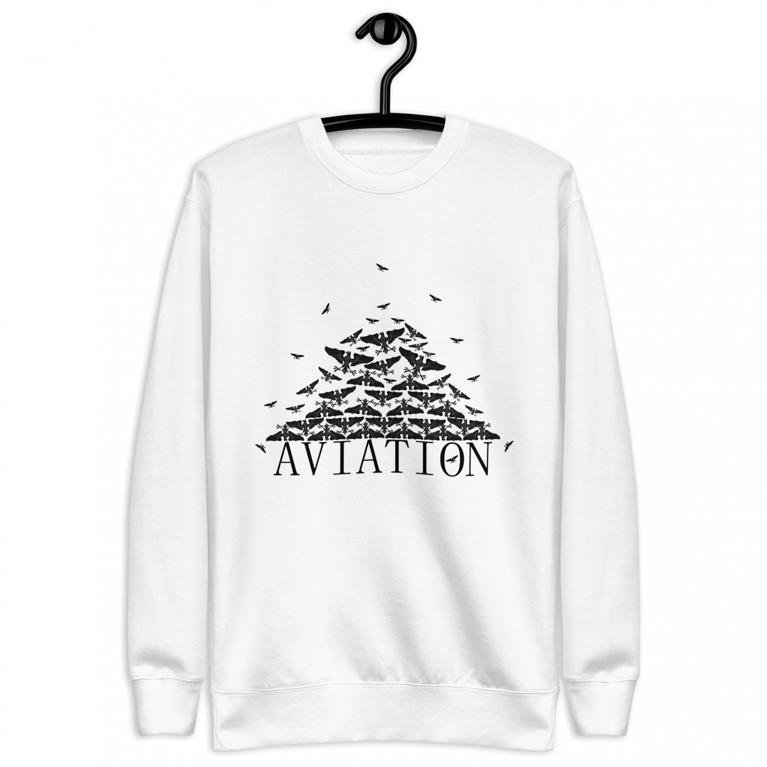 Buy a warm "Aviation" sweatshirt
